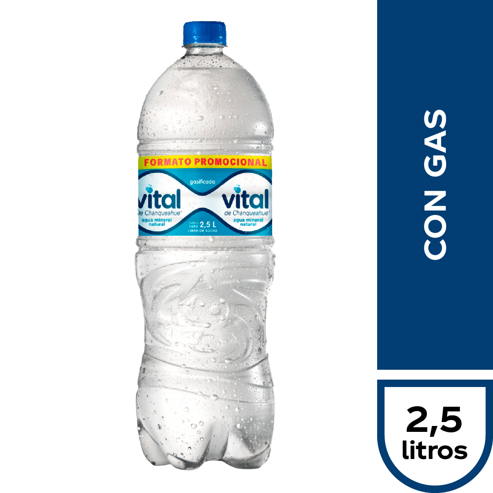 Agua Vital Con Gas 2,5Lt