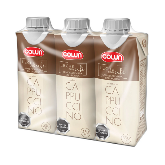 Leche de Capuccino 330ml x3